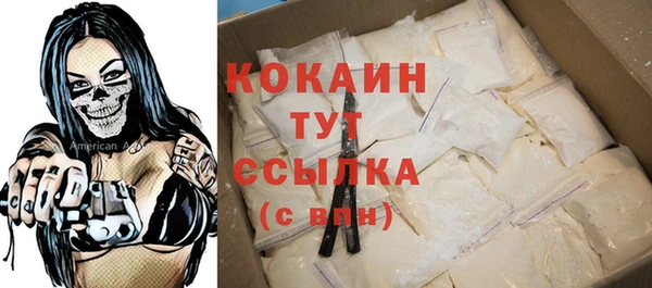 spice Алзамай