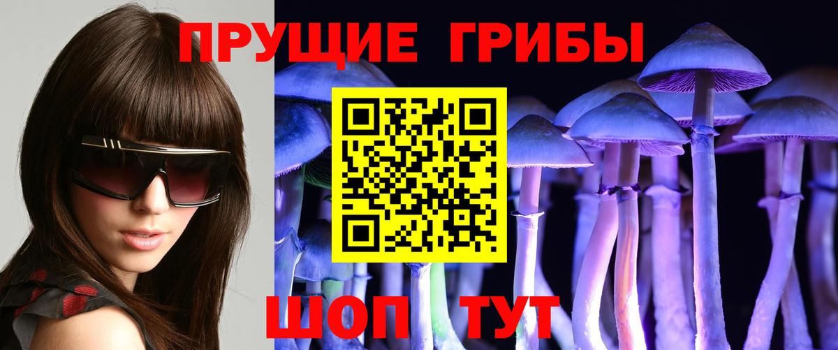 Псилоцибиновые грибы мицелий  Вход с VPN  Томск 